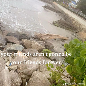 Meet your Posher, Adalys